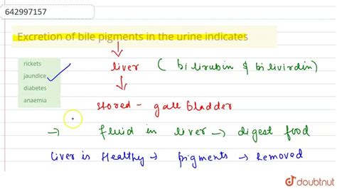 Excretion of bile pigments in the urine indicates