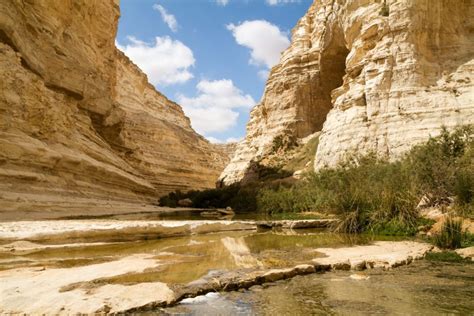 Negev Desert | Tourist Israel