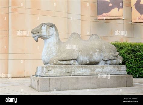 Asian Art Museum in Volunteer Park,Seattle,Washington State,USA Stock Photo - Alamy