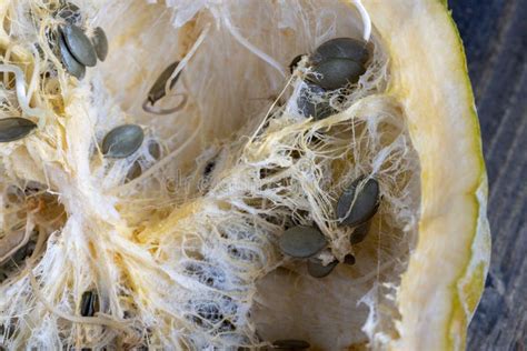 Seeds Sprouting Inside a Pumpkin in the Spring Season Stock Photo - Image of cultivated, cutout ...