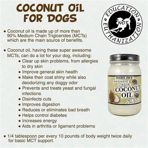 Coconut Oil for Dogs | Coconut oil for dogs, Dog food recipes, Oils for dogs