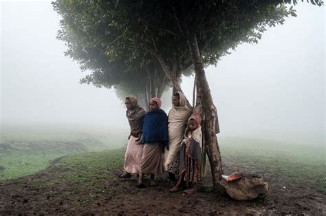 Hunger kills nearly 200 children across Ethiopia's Tigray: Survey ...