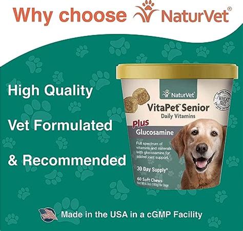 The 10 Best Senior Dog Vitamins & Supplements - BestForPets.org