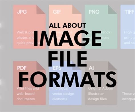 Image file formats: everything you’ve ever wanted to know - White Toner ...