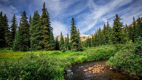 Sixteen National Forests Near National Parks - National Forest Foundation