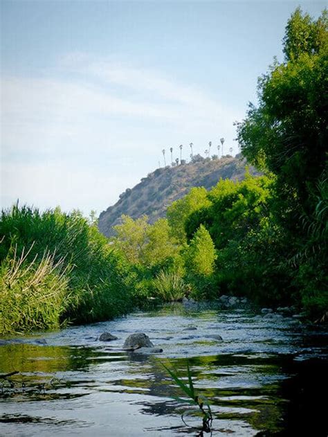 Urban Kayaking on the Los Angeles River | Garden Betty