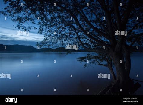 River reflection with tree at night time Stock Photo - Alamy