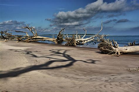 Big Talbot Island Photograph by Ben Prepelka - Fine Art America