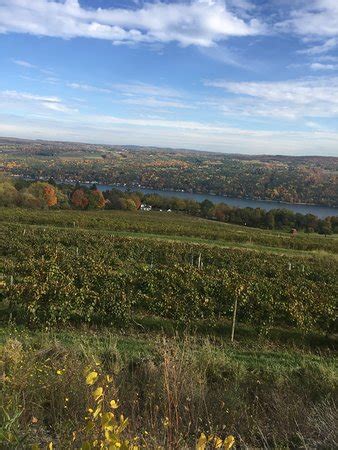 Bully Hill Vineyards Winery (Hammondsport) - 2021 All You Need to Know BEFORE You Go (with ...