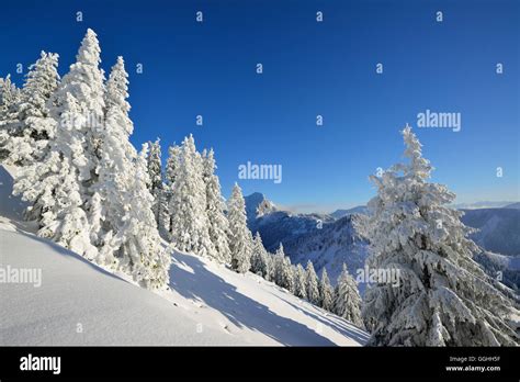 Winter mountains scenery, Breitenstein, Mangfall Mountains, Bavarian ...