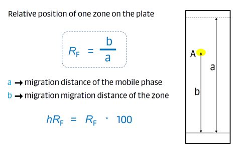 What is Rf Value in HPTLC? | Anchrom