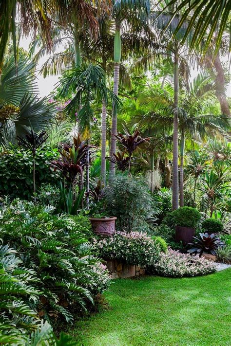 Pin by Anthony Brille on What our followers pin! | Tropical backyard ...