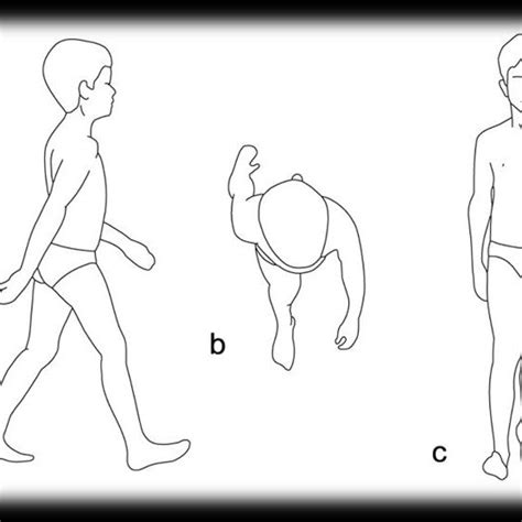 (PDF) Biomechanics of Gait