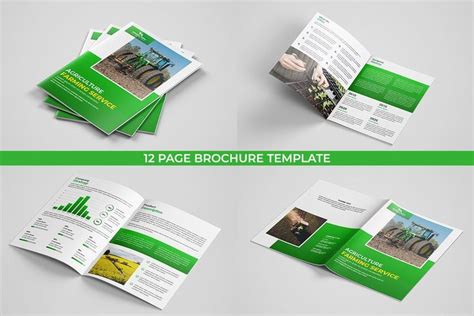 Agriculture brochure template | Brochure template, Brochure design ...