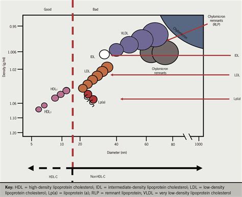 Lipids module 1: lipid metabolism and its role in atherosclerosis | The British Journal of ...