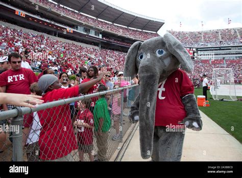 Alabama crimson tide football mascot hi-res stock photography and ...