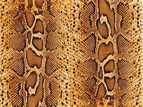 Snake Skin Textures for Photoshop Users