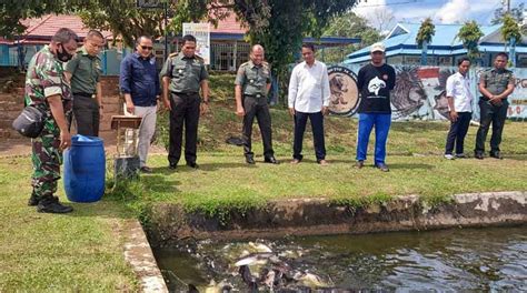 Dandim 0415/Jambi Kunjungi Balai Perikanan Budidaya Air Tawar Jambi - LINTASTUNGKAL