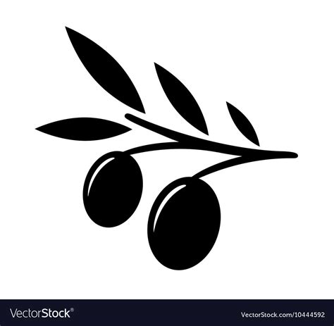 Olive tree branch Royalty Free Vector Image - VectorStock