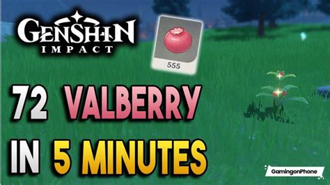 Genshin Impact Guide: How to obtain and use the Valberry