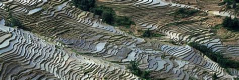 Yuanyang Travel Guide | Yuanyang County, Yunnan, China