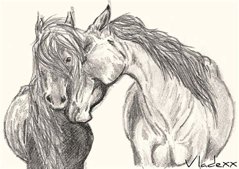 Wild Horses by JordanHempstead on DeviantArt