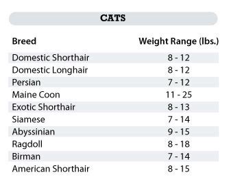 cat weight chart Archives - My Kitty CareMy Kitty Care