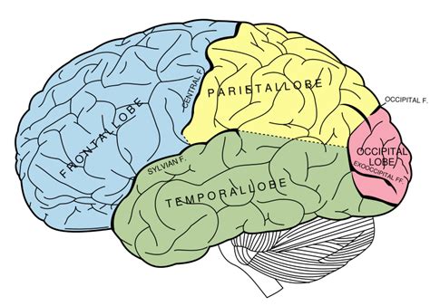 Gerstmann syndrome - wikidoc