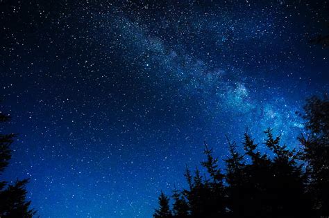 HD wallpaper: night sky, starry sky, stars, glitter, trees, astronomy ...