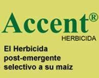 Accent - EcuRed