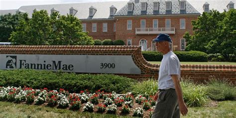 Fannie Mae, Freddie Mac Stock Prices Plunge 45% After Supreme Court ...