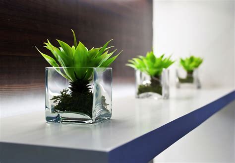 Office Desk Decoration Plants | Artificial plants outdoor, Small indoor ...