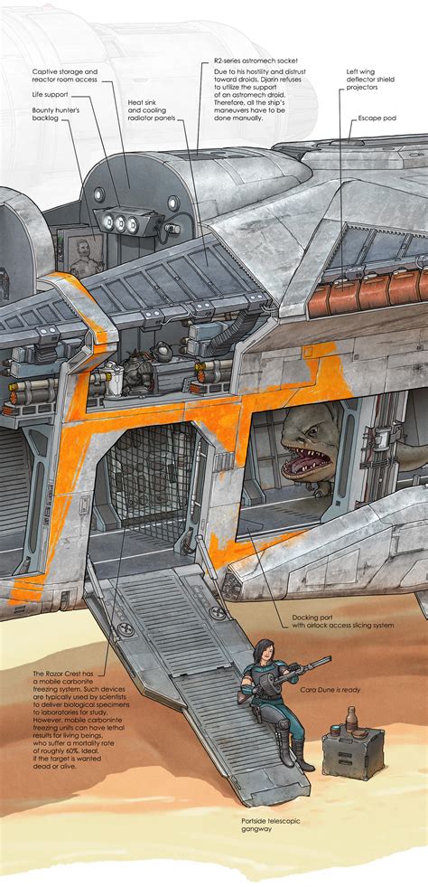 The Mandalorian's Razor Crest cross-section :: Behance