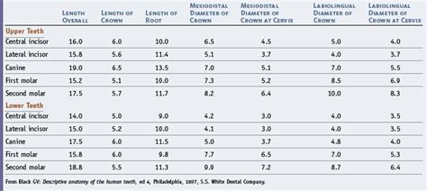 3: The Primary (Deciduous) Teeth | Pocket Dentistry