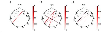 | Brain connectivity graphs showing the significant correlations... | Download Scientific Diagram