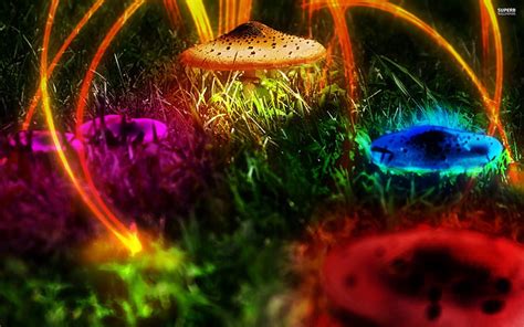 HD wallpaper: mushroom, colorful, psychedelic, LSD, multi colored, decoration | Wallpaper Flare