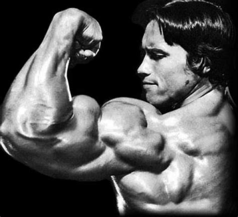 Bodybuilding Secrets: Schwarzenegger's Tips for Success - CalorieBee