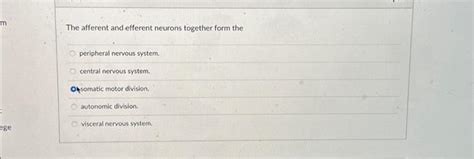 Solved m ege The afferent and efferent neurons together form | Chegg.com