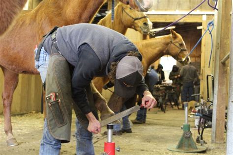 Oregon Farrier School