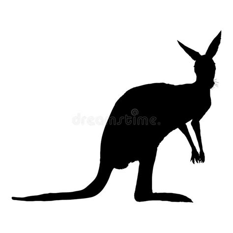 Vector Illustration of Standing Kangaroo Stock Vector - Illustration of ...