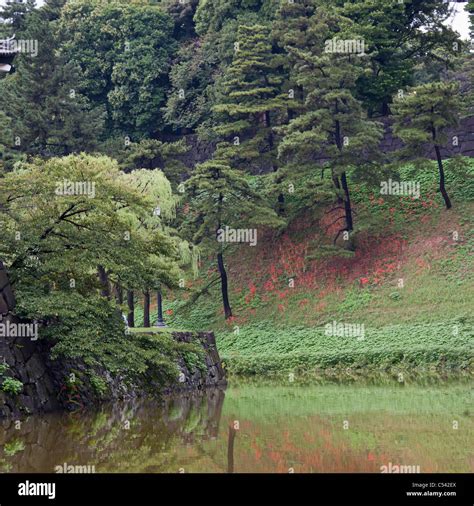 Garden of Imperial Palace, Tokyo, Japan Stock Photo - Alamy