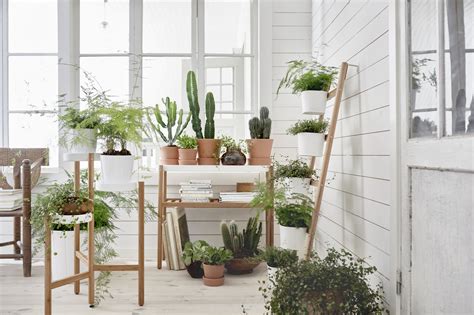 Indoor Gardening Ideas