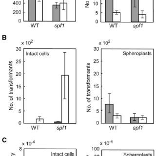 Transformation efficiency and frequency of intact cell and spheroplast.... | Download Scientific ...