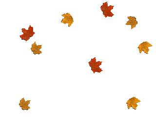 Leaves Falling Transparent Gif - Fall Autumn Sticker by DP Animation Maker (With images ...