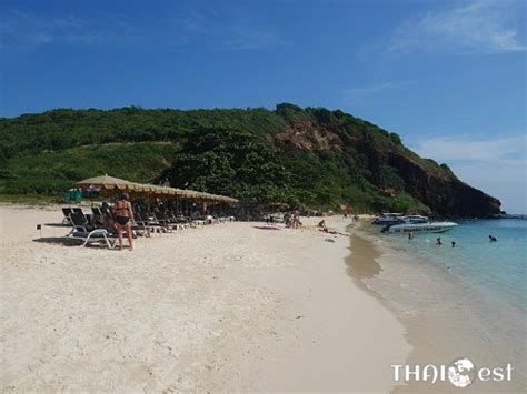 Koh Larn Beaches: What’s the Best Beach in Koh Larn?