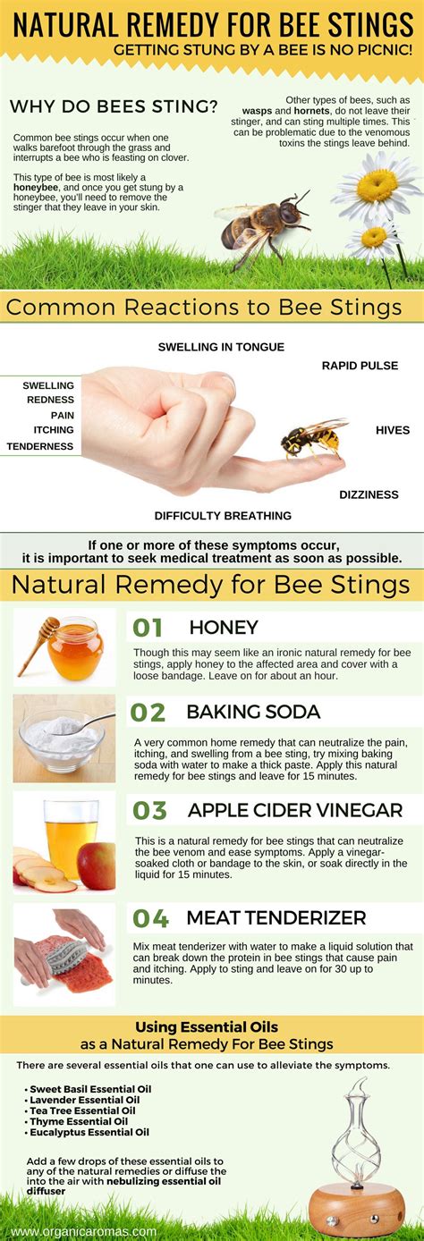 How To Cure A Bee Sting Home Remedies - Grizzbye