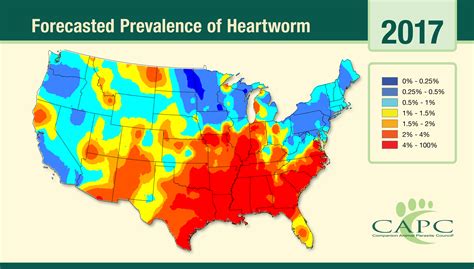 How Much Does Heartworm Treatment Cost [2022]