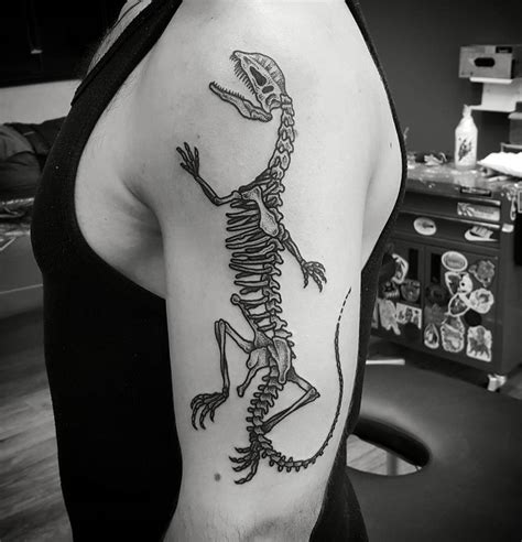 Dinosaur Skeleton