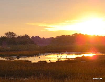 kinexxions: Assateague Island :: Sunrise