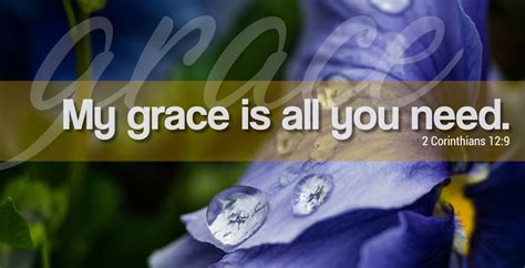 Growing in Grace – Pure Devotion